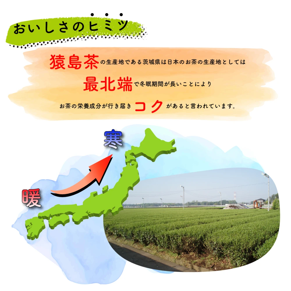 【お試しサイズ】ほうじ茶／2.5g×10 お茶 ティーバッグ TBG-028