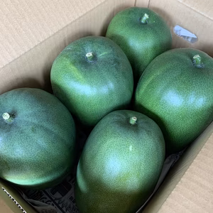 冬瓜　4から6個　(約8kg)