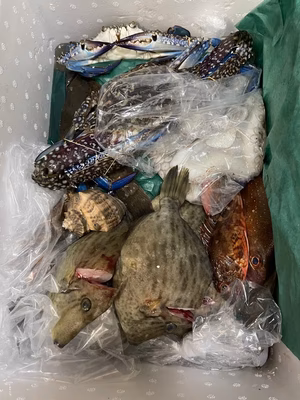 みんなの投稿の画像