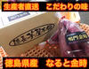 鳴門金時　Lサイズ 　貯蔵熟成済み
