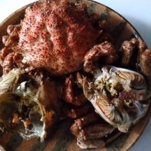 　小さめ訳あり　陸奥湾　活トゲクリガニ　メス1kg　2kg