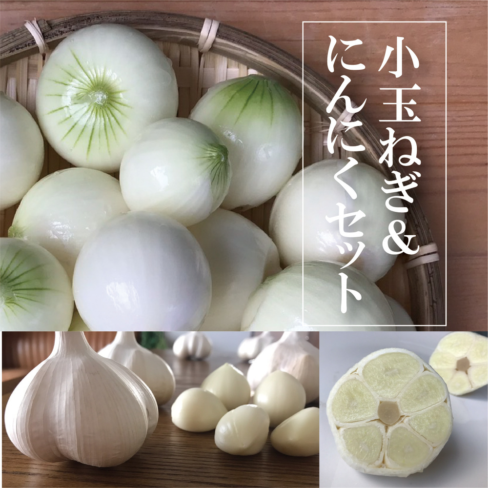オーガニック 小玉ちゃん にんにくセット 農園 Naturobe ナチュローブ 農家漁師直送のポケットマルシェ