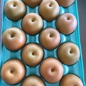 《8月下旬》甘くなるまで待ちます！【2〜3L】豊水梨