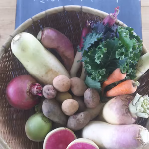 やさいやねこのて 冬のヤサイセット 農薬化学肥料不使用