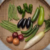 [なゆた農場]夏野菜6袋/8袋セット※栽培期間中農薬化学肥料動物性肥料不使用