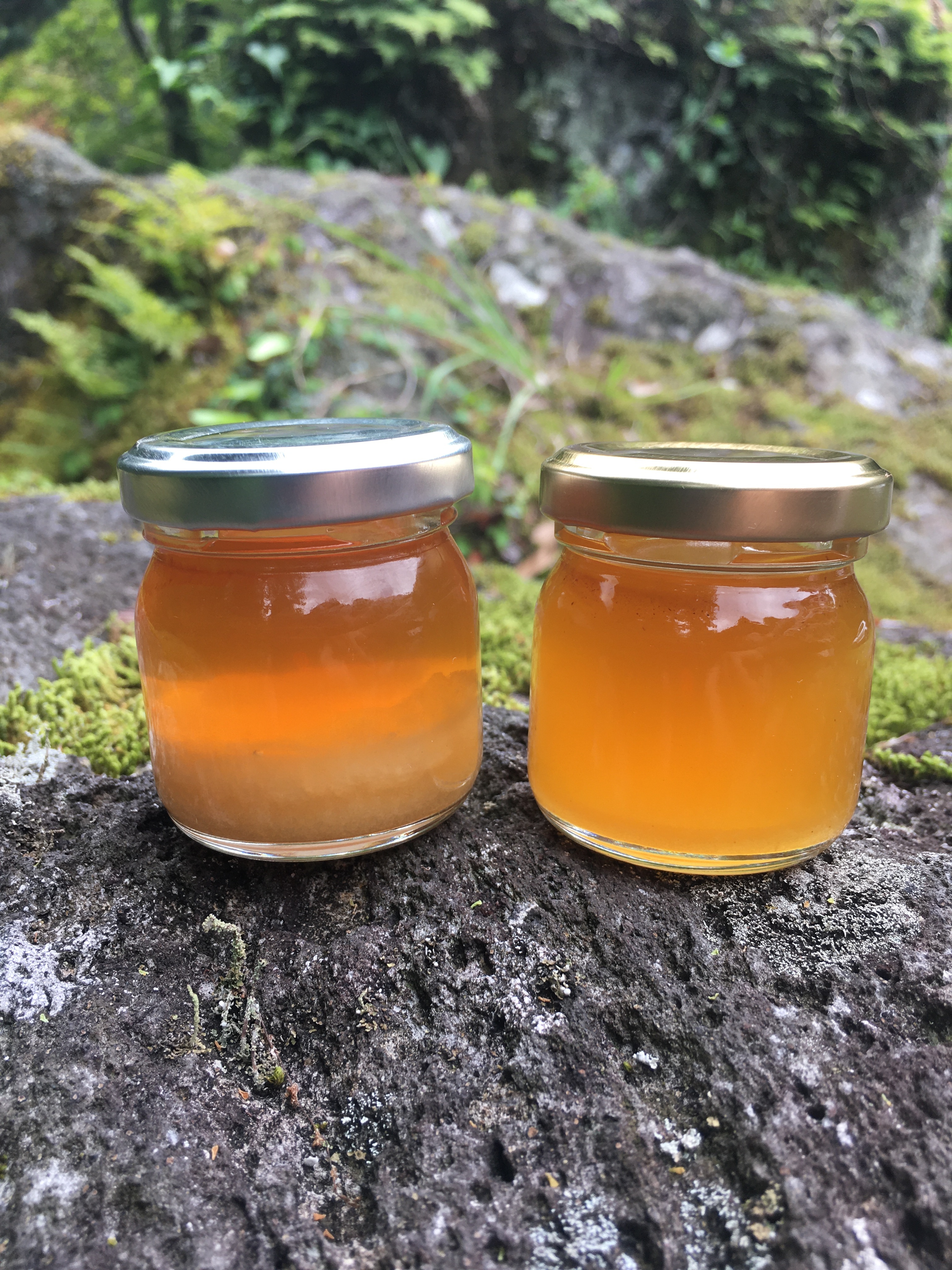 超希少】2018年産vintage 天然日本蜜蜂 発酵完了熟成蜜.｜蜂蜜の商品