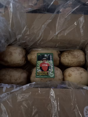 みんなの投稿の画像