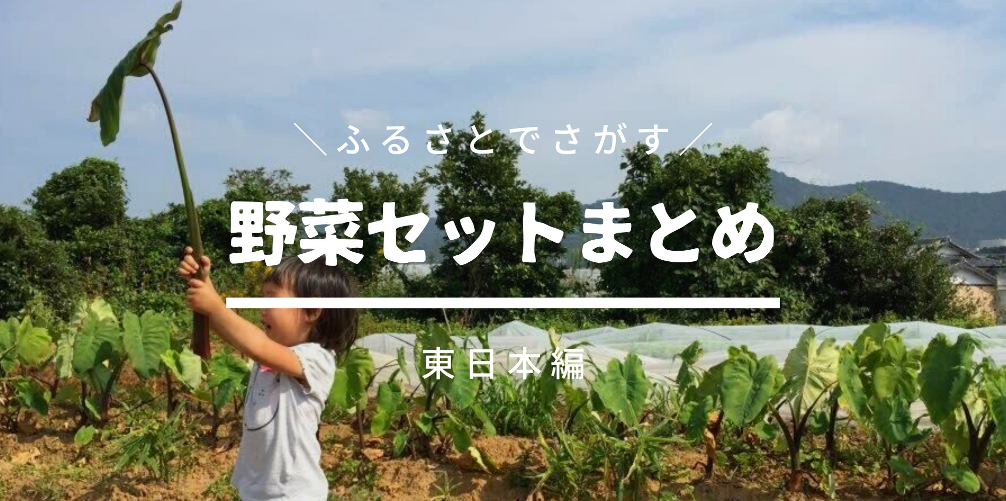 ふるさとの農家直送 野菜セット 47都道府県178区市町村を掲載中 8 19更新 農家漁師直送のポケットマルシェ