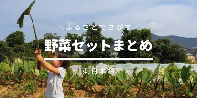 ふるさとの農家直送 野菜セット🚃47都道府県178区市町村を掲載中(8/19更新)
