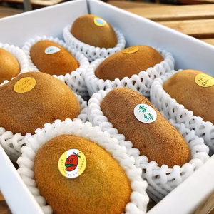 おすすめ！おまかせキウイセット*プロのキウイ農家おすすめ季節限定の５種(M5)