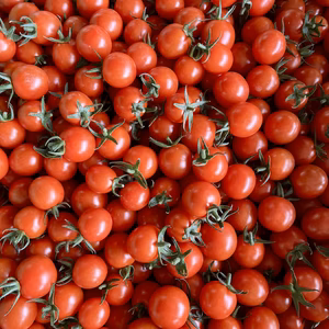 1日3粒の健康法♪毎日食べたくなるミニトマト♪