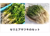 セリとアサツキのセット