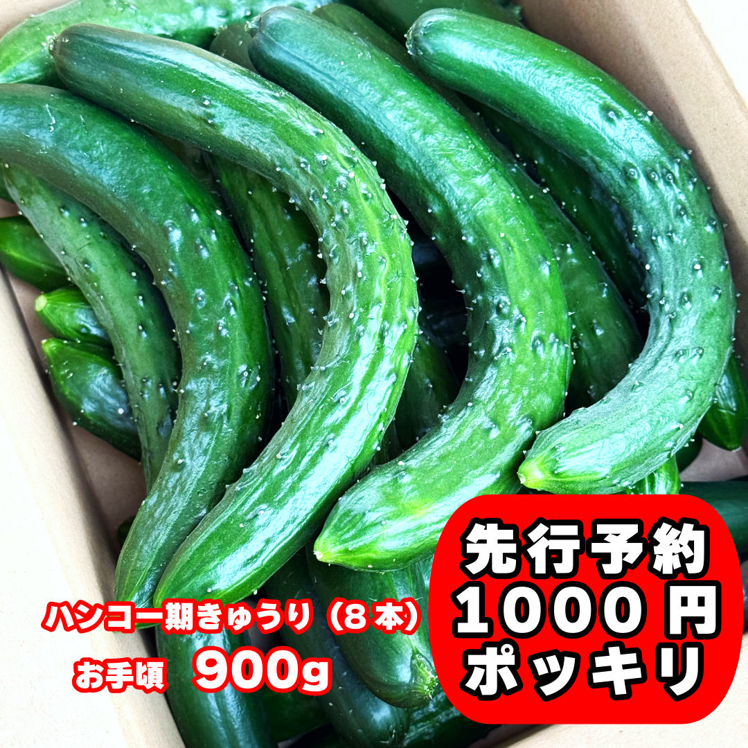 きゅうりの産直通販・お取り寄せ商品｜ポケットマルシェ｜産地