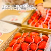 かおりの　常温【大粒】新鮮朝採りいちご