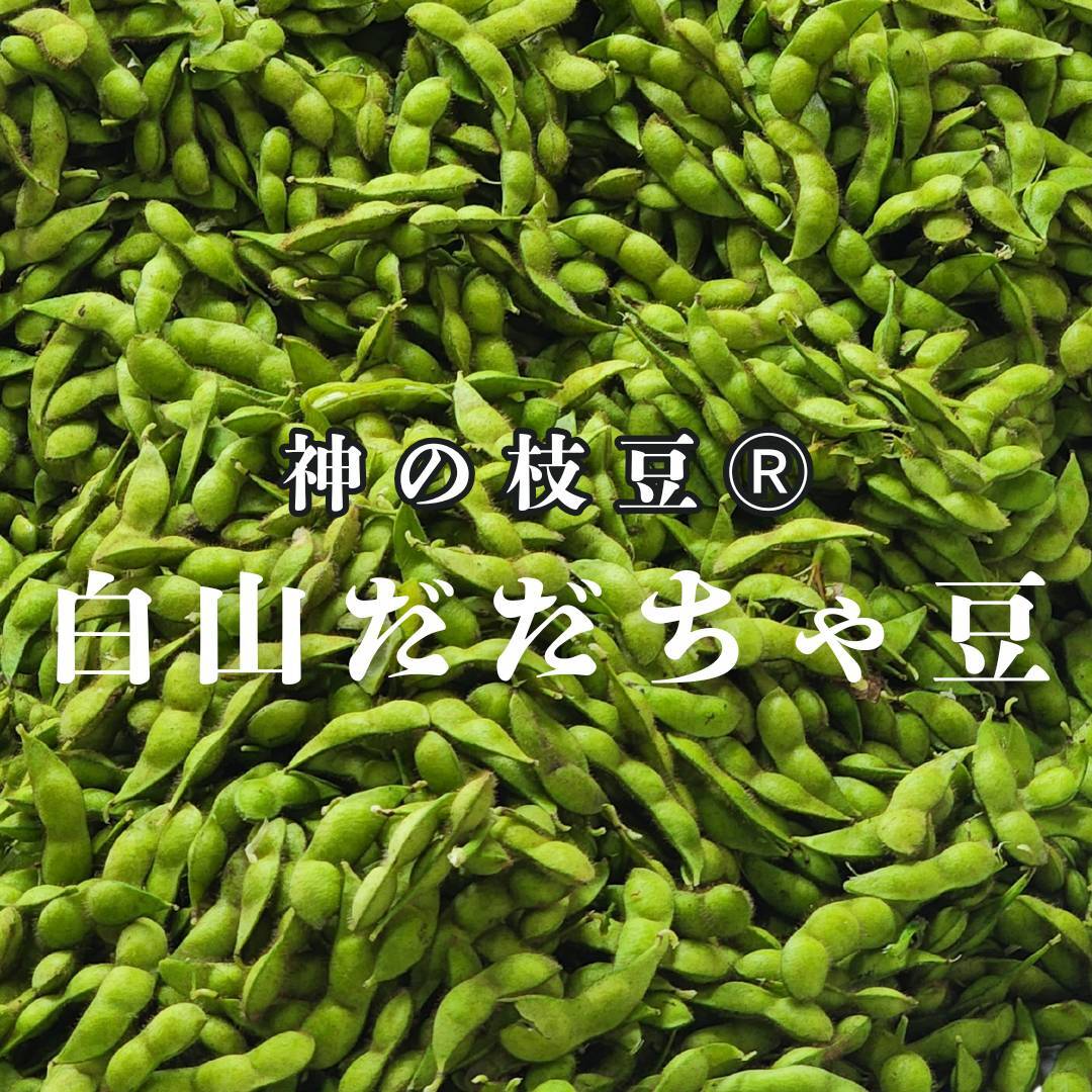 [本場]與惣兵衛の神の枝豆本場白山だだちゃ豆 だだちゃ豆1kg