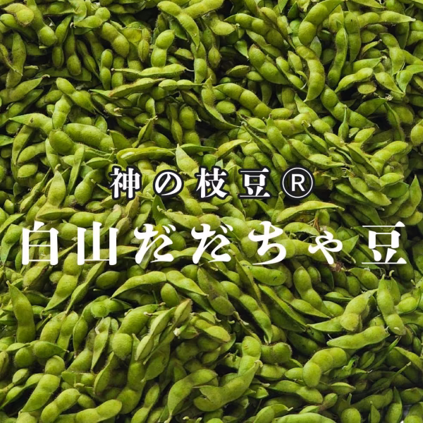 【本場】與惣兵衛の神の枝豆本場白山だだちゃ豆