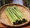 ＼シェフ御用達／北海道日高産 朝採りアスパラ 春芽 (2Lサイズ1kg、2kg)