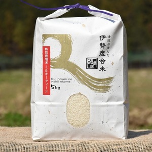【毎月届く定期便】特別栽培米ミルキークィーン　冷めても美味しい☆おにぎり☆お弁当