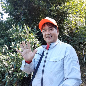 売切次第終了❗️　ハッピーおじさんの不知火デコ　　(=^ェ^=)