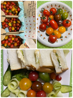 みんなの投稿の画像