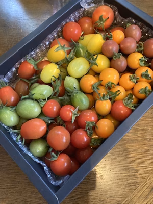 みんなの投稿の画像