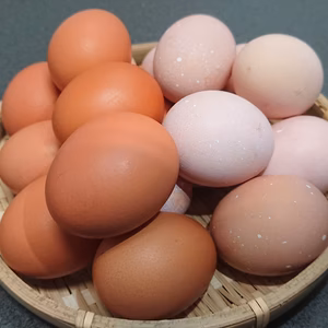 食べ比べセット 平飼い 元気玉+さくら玉【20個】