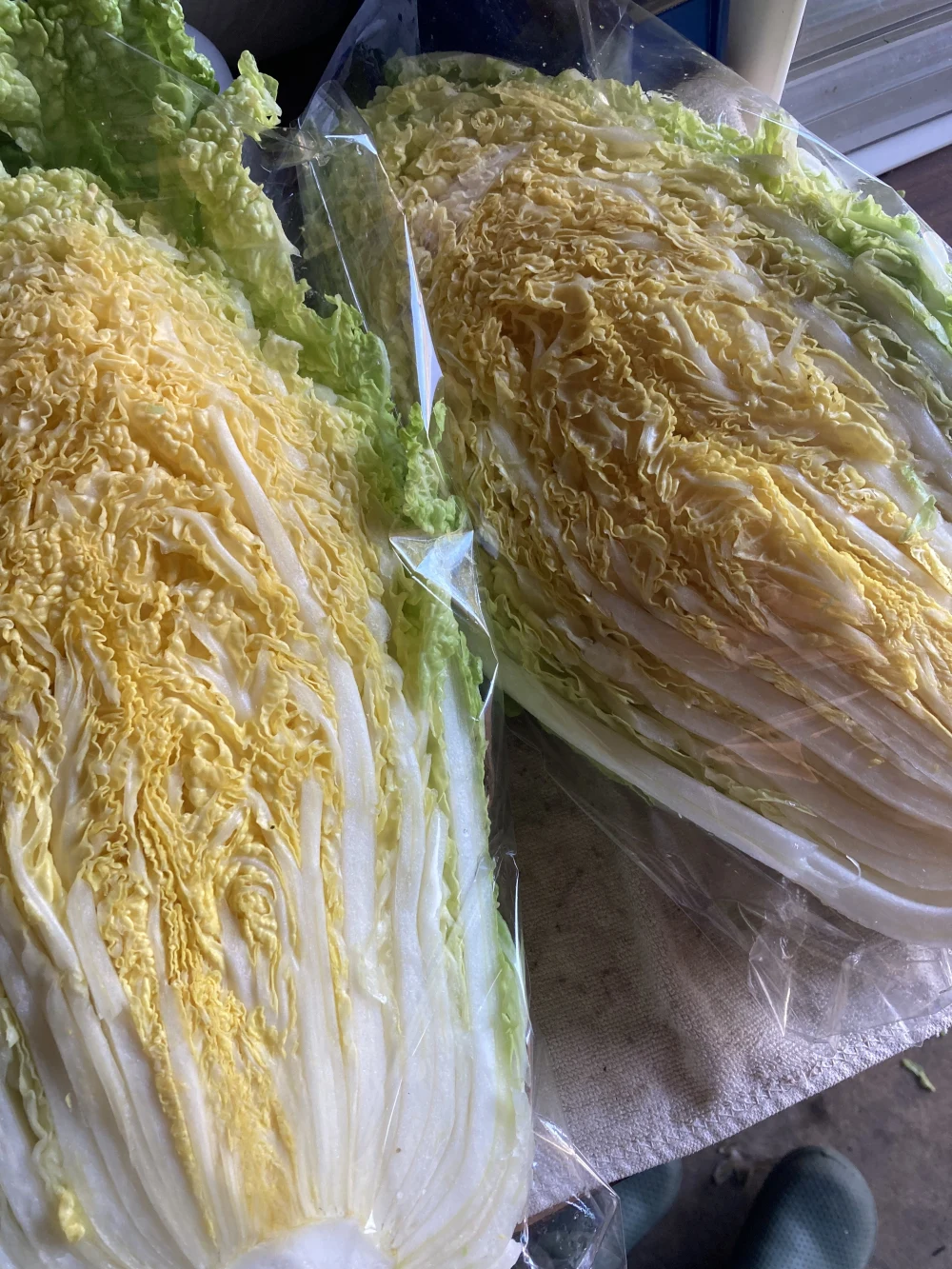 といろの野菜セット『冬』