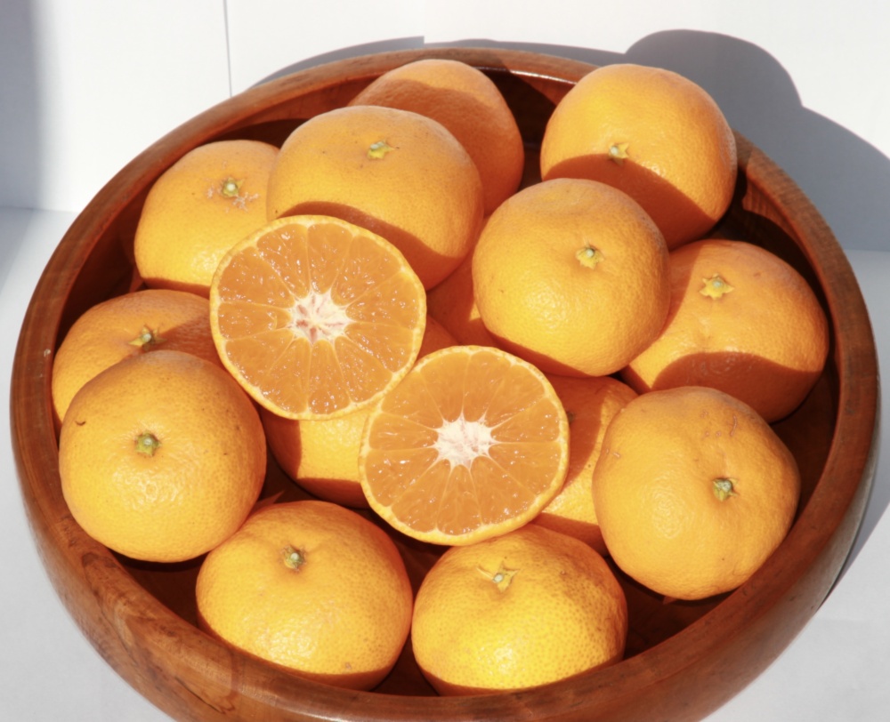 特大みかん】トロッとまろやか完熟上野みかん‼︎｜みかんの商品詳細