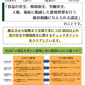 ★【完熟紅ほっぺ1kg 小粒セット（Lサイズ、Mサイズ）】◆産地間連携