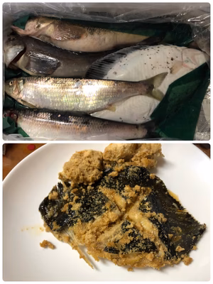 みんなの投稿の画像