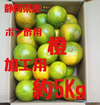 静岡県産　ポン酢用　橙　加工用　約5Kg