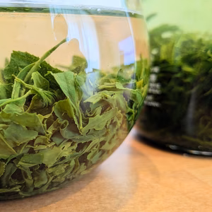 【2026年 新茶・予約】京都・舞鶴 玉露（50g）｜一番茶・数量限定