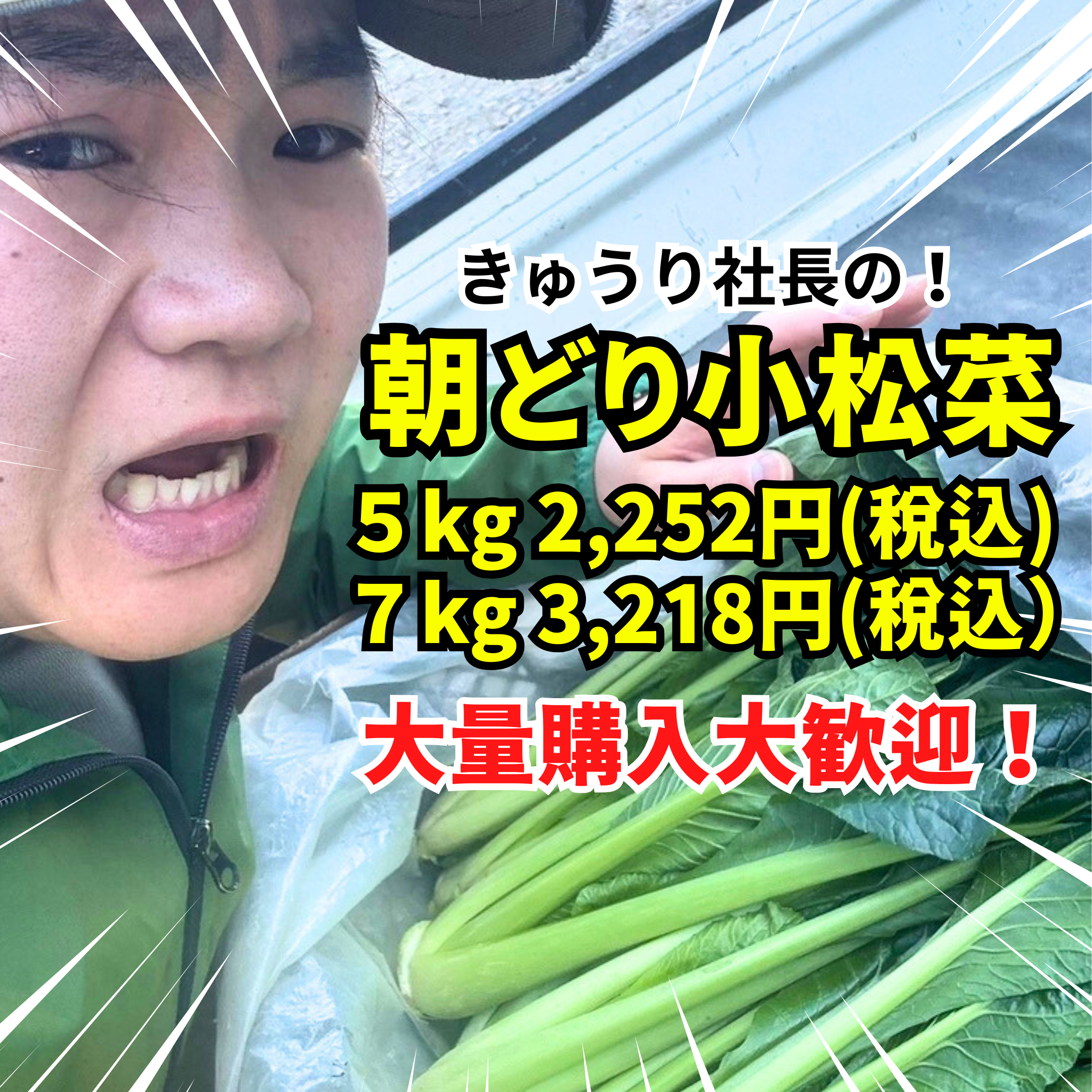 野菜 MuMu 1日分の野菜 740g ｜ ミスターマックスオンラインストア