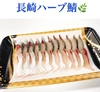 新鮮！締めたての鯖をお刺身にしました！長崎ハーブ鯖刺身(冷凍)