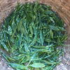 【2020年産新茶】自然仕立ての絶品手摘み茶「山翠園の極(きわみ)」50g袋入り