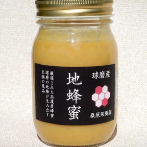 【送料一律】希少！熊本県産の日本蜜蜂はちみつ500g瓶非加熱無添加