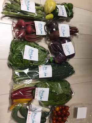 みんなの投稿の画像