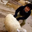 坂田耕祐