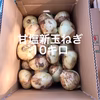 【鹿児島産】甘塩新玉ねぎ10キロ^_^