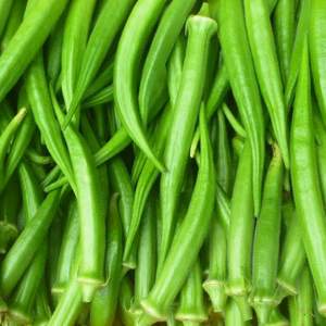 長オクラ＝1ｋｇ＊ネバ・トロパワーで秋を楽しむ！農薬/化学肥料・不使用