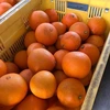 愛媛が誇る高級柑橘！ふぞろいのマドンナたち！5kg（訳あり）