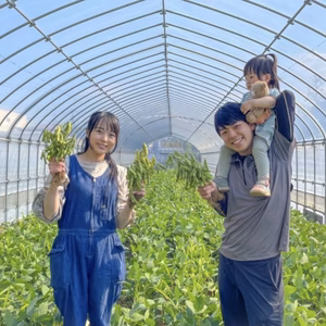 食べ過ぎ注意♡甘〜い枝豆✨枝付き！【大盛り】