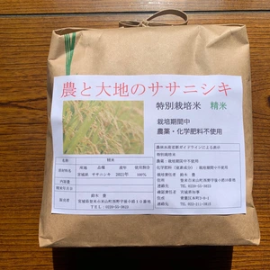 【2ヶ月に1回定期】ササニシキ農薬・化学肥料不使用 白米2kg～