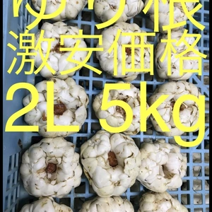 送料別 北海道産 ゆり根 2L 5kg お徳用大特価 野菜