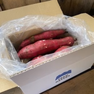 【訳アリ・加工用】さつまいも(栗かぐや) 約4kg(13～25本)　数量限定