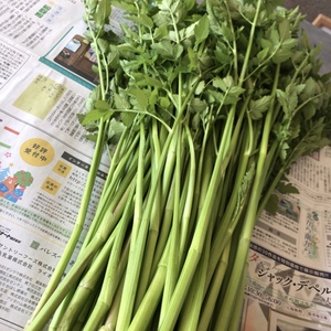 5月の名取せり(春せり)
