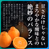 え、まだデコあるの？蔵出し極熟デコ、ついに解禁。