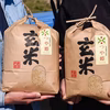 【送料無料】令和7年産 山形県産 新米 つや姫玄米 4kg～ 石抜き処理済