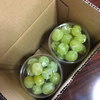 南信州産シャインマスカット  規格外品　200g入粒カップ×2