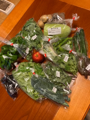 みんなの投稿の画像